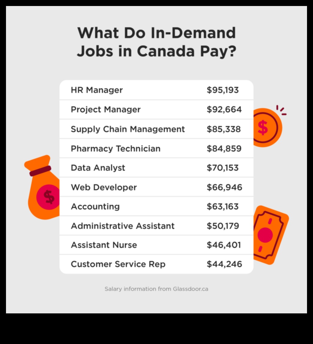 In-Demand Jobs in Canada A Guide to the Hottest Careers 1